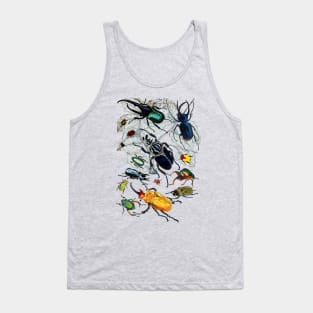 Coleoptera Beetles and Weevils J Mayson Natural Tank Top